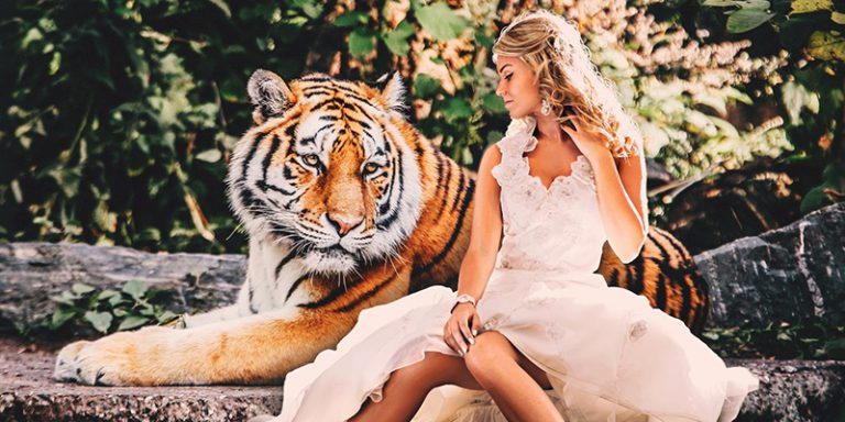[3] Любовь и отношения в год Черного Тигра