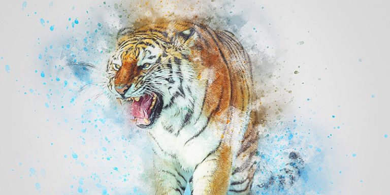 Дыхание Тигра – как не бояться столкновений?