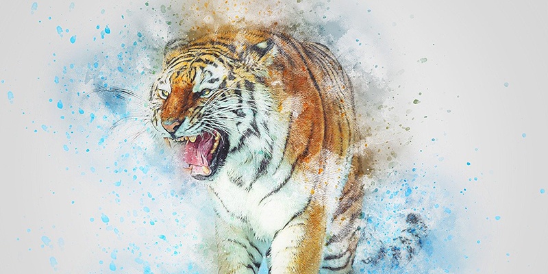 Дыхание Тигра – как не бояться столкновений?